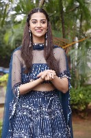 Meenakshi Chaudhary Gallery